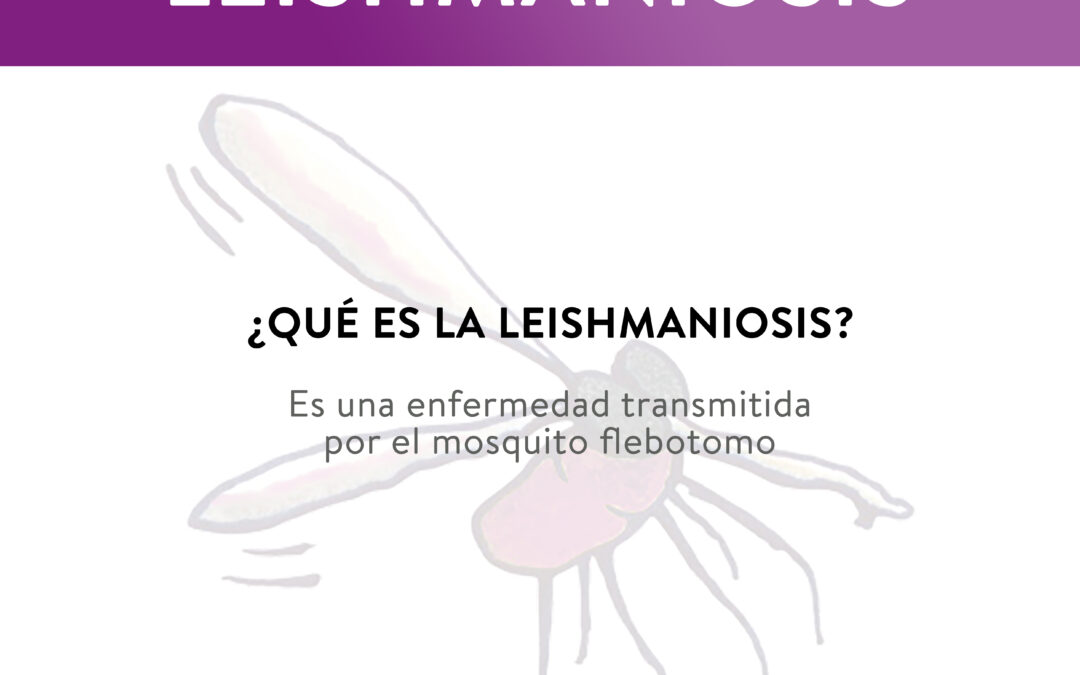 ¿Sabes si tu perro tiene Leishmaniosis?