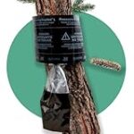 Cómo Proteger a tus Mascotas de los Nidos de Orugas Procesionarias: Análisis y Comparativa de los Mejores Productos del Mercado