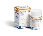 Prolivet para Mascotas: Beneficios, Usos y Comparativa con Otros Suplementos