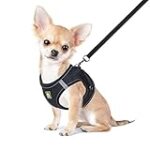 Los Mejores Arnés para Chihuahua: Comparativa y Análisis de los Productos Más Recomendados