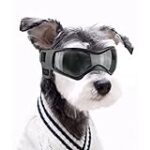 Las Mejores Gafas de Sol para Perros: Análisis y Comparativa de Opciones para Proteger a tu Mascota del Sol