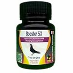 Los Mejores Medicamentos para Palomas: Análisis del Innovador 5 en 1