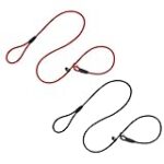 Comparativa de Precios de Adiestramiento Canino: Encuentra la Mejor Opción para Tu Mascota