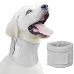 Los Mejores Cuellos para Perros: Análisis y Comparativa de Opciones para el Bienestar de tu Mascota