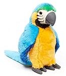 Guacamayos en Venta Baratos: Análisis y Comparativa de las Mejores Oportunidades para Adoptar Tu Mascota Exótica