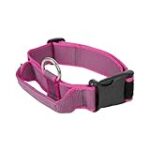 Análisis del Collar Julius-K9: ¿Es la Mejor Opción para Tu Mascota?