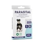 Collares Anti Leishmaniasis: Análisis y Comparativa de los Mejores Productos para Proteger a tu Mascota