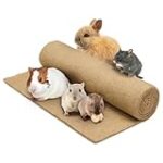 Las Mejores Alfombras para Conejos: Análisis y Comparativa de Productos para el Bienestar de tu Mascota