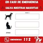 Esperanza de Vida de Perros con Cushing: Comparativa de Suplementos y Cuidados Esenciales para Mejorar su Calidad de Vida