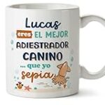 Los Mejores Productos para el Adiestramiento Canino en Oviedo: Análisis y Comparativas