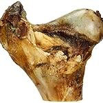 Los Mejores Huesos para Perros: Análisis y Comparativa de los Productos Más Destacados en el Mercado