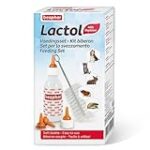 Cuidados Esenciales y Productos Recomendados para Gatos Recién Nacidos de 1 Día: Guía Completa para Nuevos Dueños