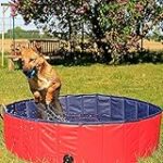 Las Mejores Piscinas para Mascotas: Análisis y Comparativa de los Productos más Funcionales y Divertidos