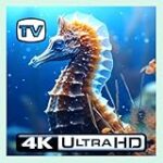 Guía Completa: Los Mejores Productos para Criar Caballitos de Mar en tu Acuario