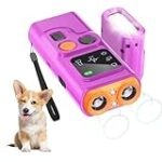 ¿Los Perros Ahuyentan a las Ratas? Analizamos los Mejores Productos para Proteger tu Hogar de Plagas con la Ayuda de tu Mascota