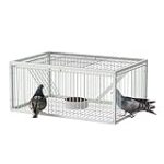 Las Mejores Jaulas para Palomos: Análisis y Comparativa de Productos Indispensables para Aves