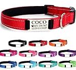 Los Mejores Collares Identificativos para Perros: Análisis y Comparativa de Productos Esenciales para la Seguridad de tu Mascota