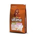 Análisis de la Alimentación: La Última Opción de Salmón para Perros que No Te Puedes Perder