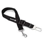 Los Mejores Cinturones para Perros en el Coche: Comparativa y Análisis de Seguridad y Comodidad