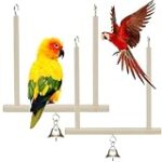 Los Mejores Accesorios para Pájaros: Análisis y Comparativa de Productos Esenciales para el Bienestar de Tu Ave