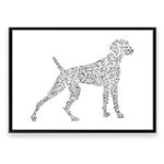 Braco de Weimar: Guía de Criadores y Comparativa de los Mejores Productos para su Cuidado Braco de Weimar: Guía de Criadores y Comparativa de los Mejores Productos para su Cuidado