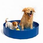 Las Mejores Piscinas para Perros Pequeños: Análisis y Comparativa de los Productos Más Destacados
