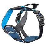 Los Mejores Arnés para Coche de Perro: Análisis y Comparativa de Productos Seguros y Cómodos