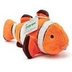 ¿Cuánto Cuesta un Pez Payaso? Análisis y Comparativa de Precios en el Mercado para tu Acuario