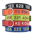 Collares para Perros con Nombre y Teléfono: Análisis y Comparativa de los Mejores Modelos del Mercado