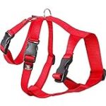 Fábulas de Galgos y Podencos: Comparativa de los Mejores Productos para sus Cuidadores