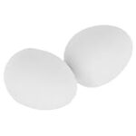 Gallinas en Salamanca: Análisis y Comparativa de los Mejores Productos para su Cuidado y Bienestar