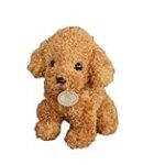 Análisis y Comparativa: Los Mejores Productos para el Cuidado de tu Caniche Toy