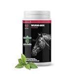 Las Mejores Opciones de Remedios Caseros para Desparasitar Caballos: Análisis y Comparativa de Eficiencia