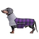Los Mejores Outfits para Tu Teckel: Análisis y Comparativa de Ropa para Perros