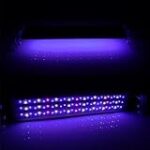 Comparativa de las Mejores Pantallas LED para Acuarios Marinos: Ilumina tu Mundo Acuático