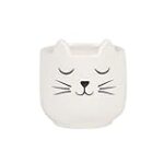 Las Mejores Macetas para Gatos: Comparativa de Productos que Transformarán el Espacio de Tu Mascota