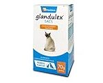Análisis de Glandulex para Gatos: ¿Es el Suplemento que Tu Mascota Necesita?