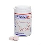 Los Mejores Piensos con Condroprotectores para Mantener la Salud Articular de tu Mascota: Análisis y Comparativa
