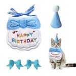 Guía Completa: ¿Con Cuántos Meses Se Puede Castrar a un Gato? Análisis de Opciones y Recomendaciones para un Cuidado Responsable