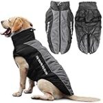 Los Mejores Abrigos para Perros en Nieve: Comparativa de Calidad, Calidez y Estilo