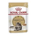 Los Mejores Productos para tu Gato Maine Coon: Análisis y Comparativa de Accesorios Esenciales
