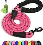 Las Mejores Correás Rosa para Perros: Comparativa y Análisis de Estilo y Funcionalidad