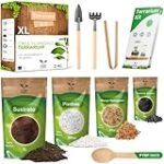 Terrarios para Plantas: La Guía Definitiva para Elegir el Mejor Espacio Verde para tu Mascota