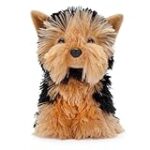 Los Mejores Productos para Yorkshire Mini Toy: Análisis y Comparativa para Consentir a tu Pequeño Compañero