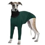 Guía Completa de Venta de Galgos Italianos: Comparativa de los Mejores Productos para su Cuido y Bienestar