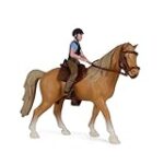 Guía Completa sobre la Venta de Caballos en Burgos: Análisis y Comparativa de los Mejores Productos para su Cuidado