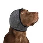 ¿Por Qué Suena la Barriga de Tu Perro? Análisis de los Mejores Productos para Mejorar su Salud Digestiva