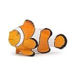 Guía Completa para Comprar Pez Payaso: Análisis y Comparativa de los Mejores Acuarios y Accesorios