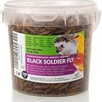 Descubre la Fauna de Lanzarote: Los Mejores Productos para el Cuidado de tus Mascotas en un Entorno Único