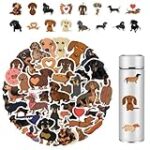 Descubre los Diferentes Tamaños de Teckel: Comparativa de Productos Ideales para Cada Variación